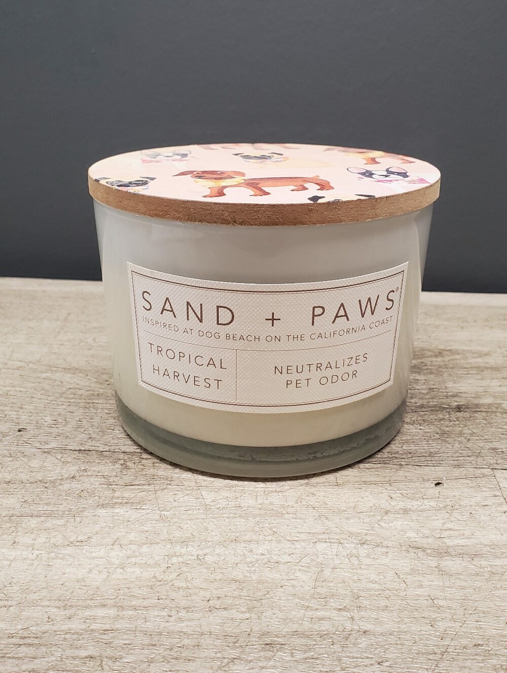 NEW Sand and Paws Tropical Harvest 2 wick candle